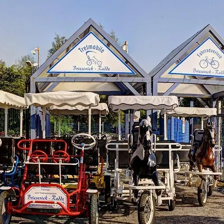 Briesenick-radde Pearl