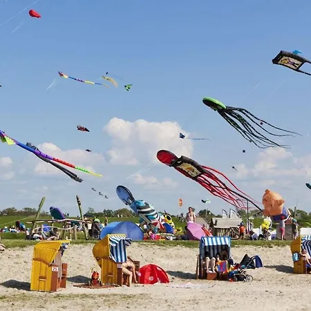 Briesenick-radde Pearl * توسينس