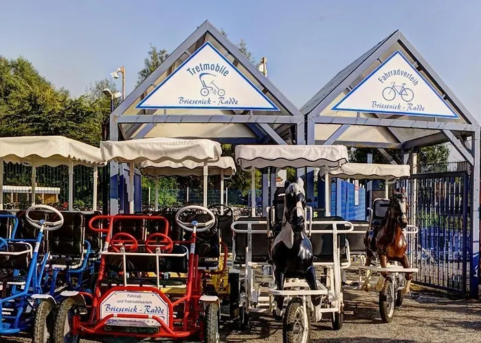 Briesenick-radde Pearl